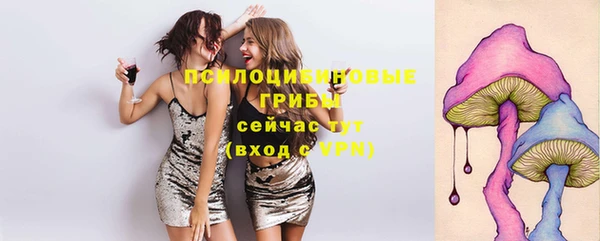 соль курить ск Алексеевка